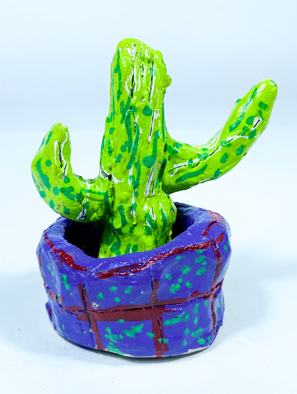 A Cactus, by Ryan McDonagh